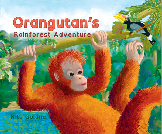 Orangutan's Rainforest Adventure