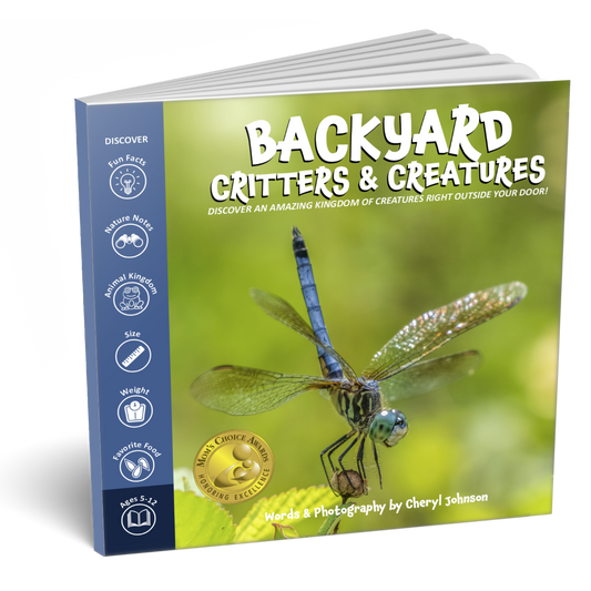 Backyard Critters & Creatures