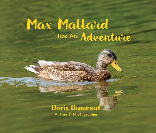 Max Mallard Has An Adventure