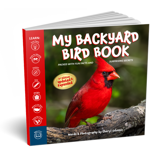 My Backyard Bird Book