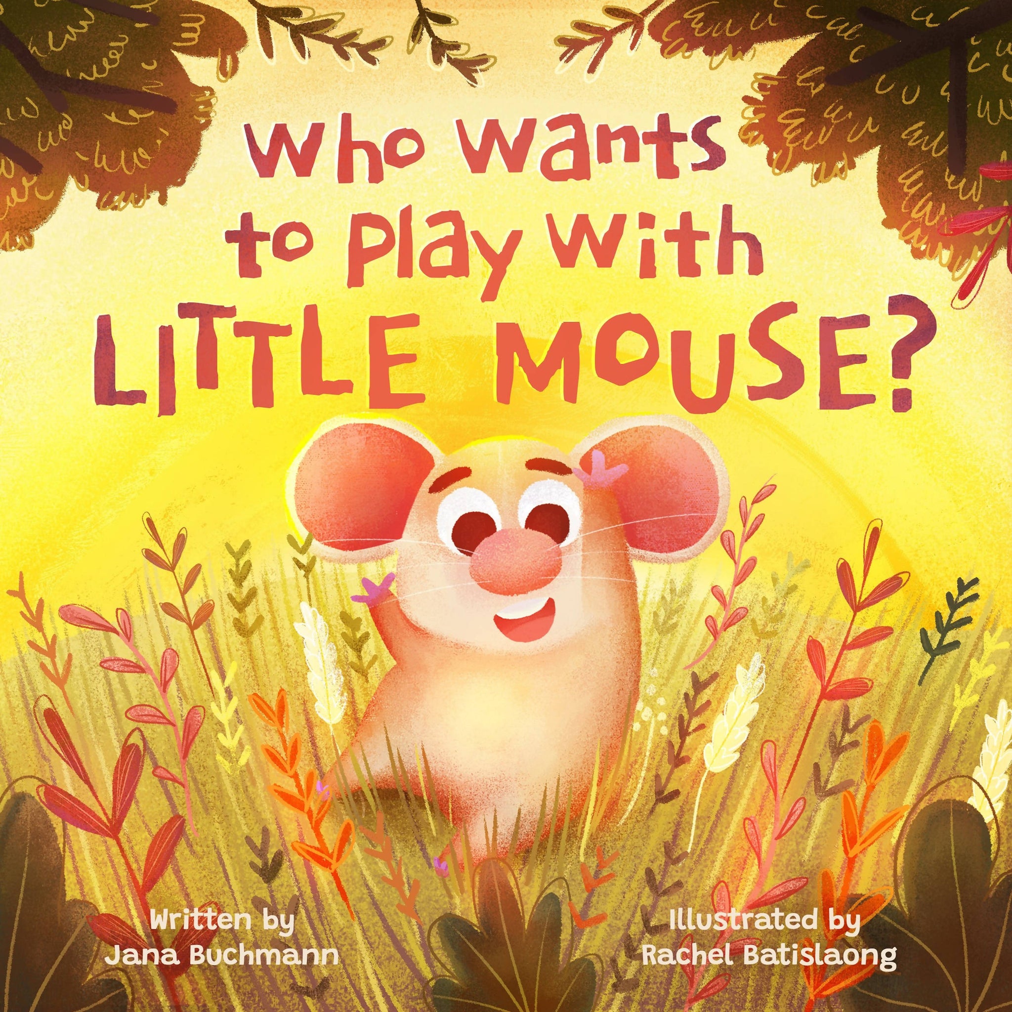 Who Wants to Play With Little Mouse?