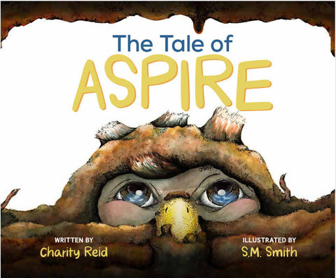 The Tale of Aspire