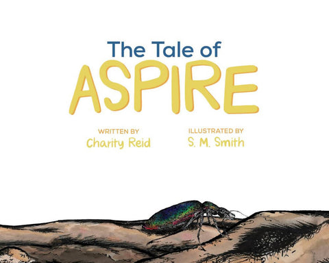 The Tale of Aspire