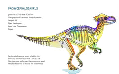X-Ray Dinosaurs And Other Prehistoric Creatures