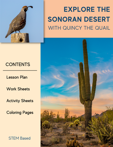 Lesson Plans: Quincy the Quail