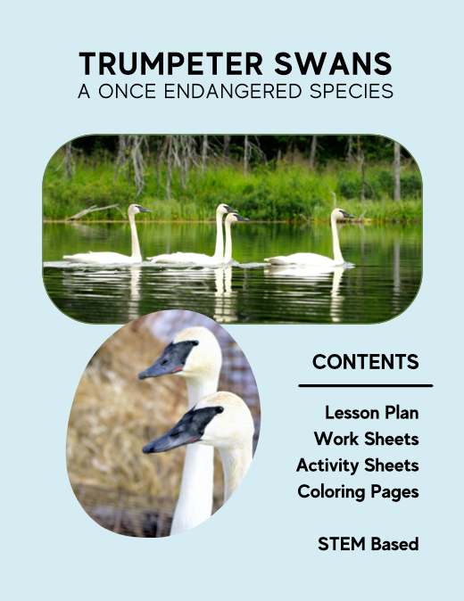 Lesson Plans: Trumpeter Swans