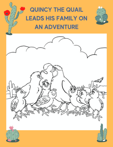 Lesson Plans: Quincy the Quail