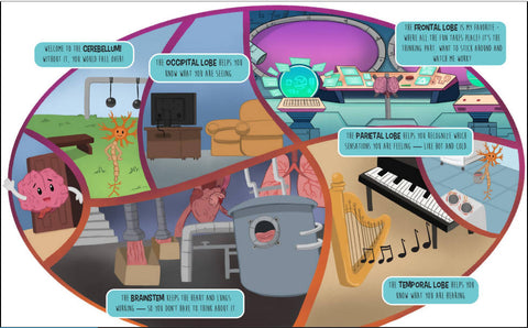 Brian the Brain Head Space: How Your Brain Works!