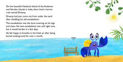 DREAMY the Hermit Crab’s House Hunt: A children's book about sharing, caring, and re-using