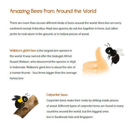 What the World Needs Now: Bees!