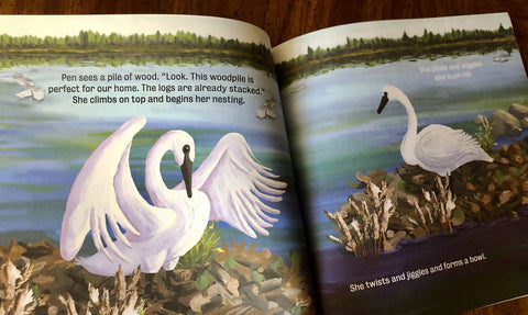 Spring! Time to Build a Nest, A Story about Trumpeter Swans