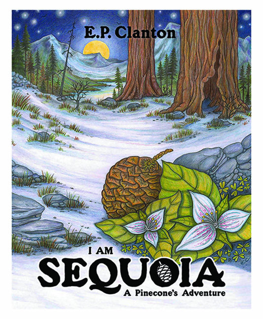 I Am Sequoia, A Pinecone's Adventure