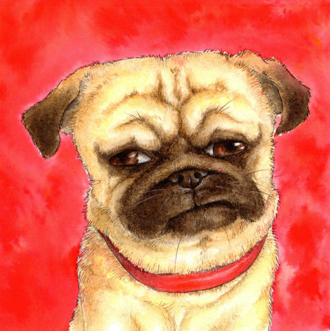 Pug Is Happy