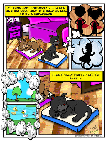 Thor's Dreamland Adventures: Ducks N' Dragons