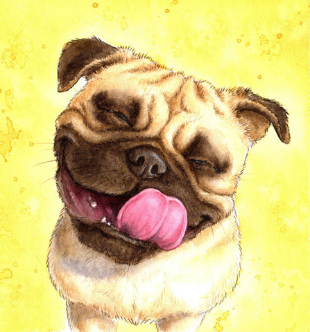 Pug Is Happy